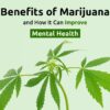 health benefits of cannabis