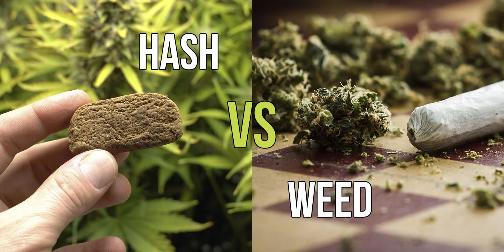 hash and weed