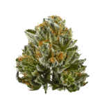 Bubba Kush strain is an indica-dominant strain known for its relaxing effects, earthy aroma, and soothing properties.