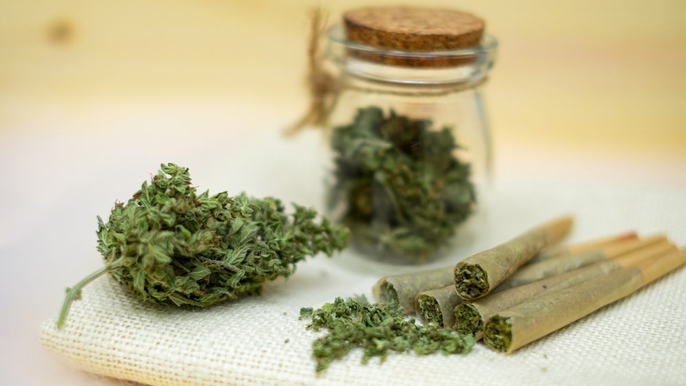 Tips to Keep Your Stash Fresh and Potent