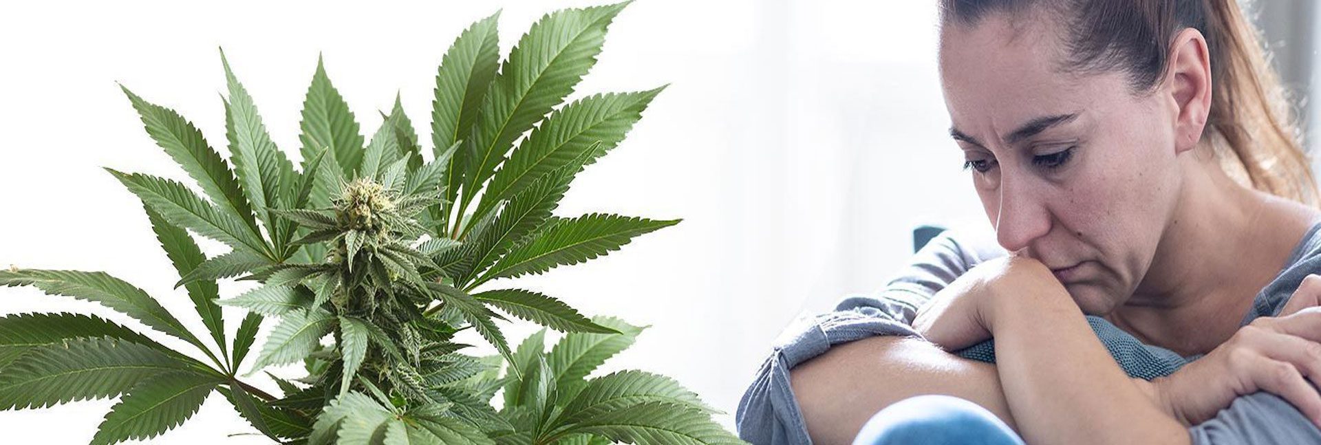 Discover the Best Cannabis Strains for Depression Relief